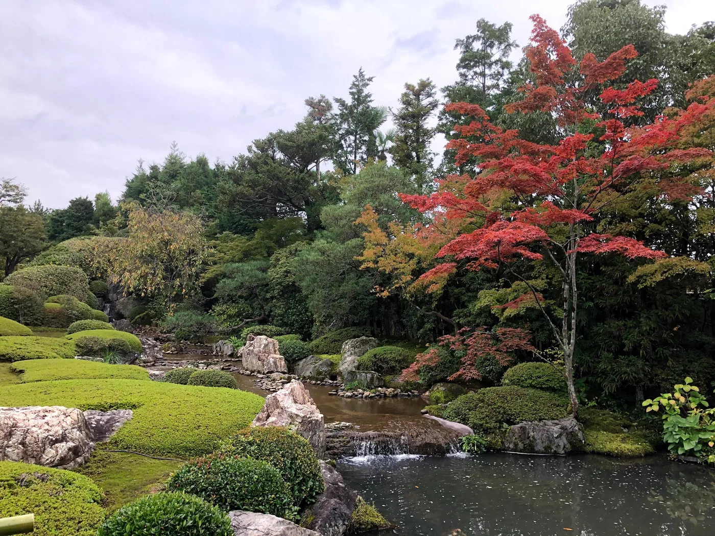 A pond, rocks, clipped shrubs and a red maple in the garden at Myoshin-ji, Kyoto.